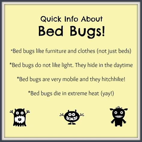 10 Tips for Preventing BED BUGS! | Making Life Blissful