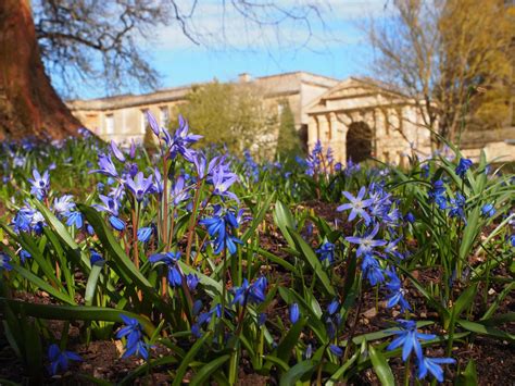 University of Oxford Botanic Garden - Celebrating 400 Years of ...