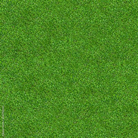 Green grass texture for background. Green lawn pattern and texture background. Close-up. Stock ...