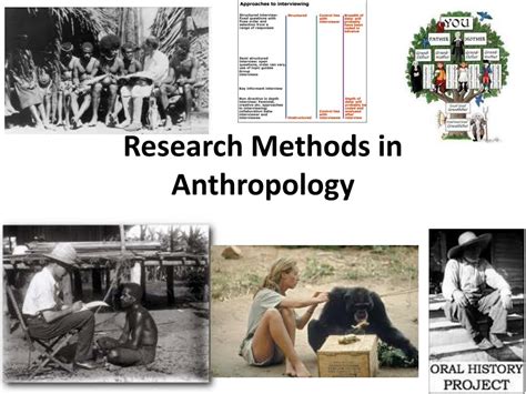 PPT - Research Methods in Anthropology PowerPoint Presentation, free download - ID:2929103