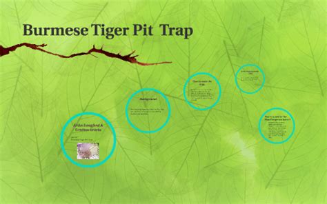 Burmese Tiger Pit Trap by Cristian Garcia on Prezi