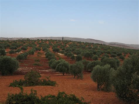 IMG_4000_Syria_landscape. Travelling towards Aleppo, Halab… | Flickr