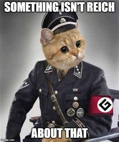 Grammar Nazi Cat - Imgflip