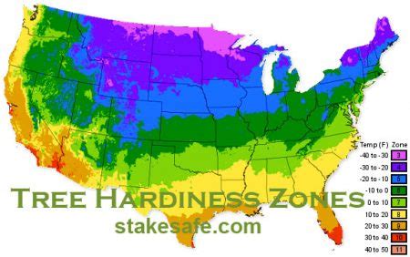 Tree Hardiness Zones - Stakesafe