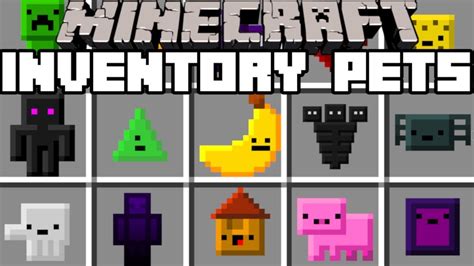 Minecraft INVENTORY PETS MOD | FIGHT IN A ZOO WITH FUN PETS!! | Modded Mini-Game - YouTube