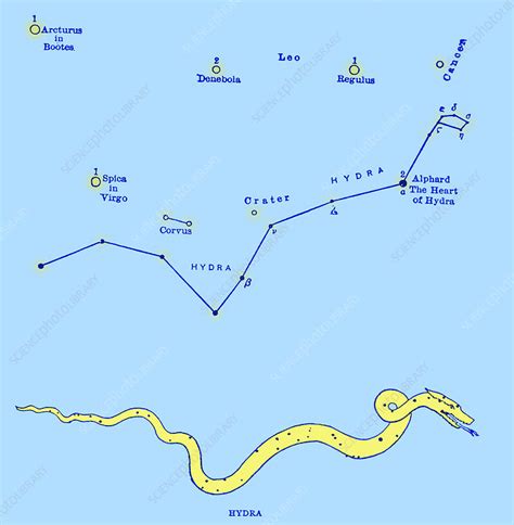 Hydra Constellation - Stock Image - C030/4435 - Science Photo Library