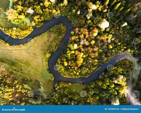 Aerial View of the Autumn Forest Stock Image - Image of season, outdoor ...