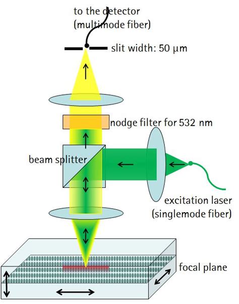 Confocal Microscopy Cartoon