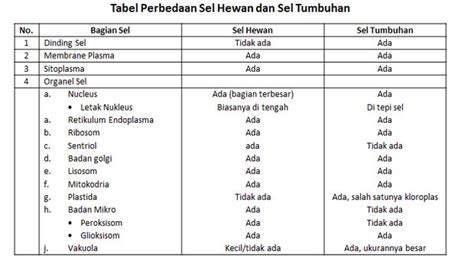 Perbedaan Sel Hewan Dan Tumbuhan