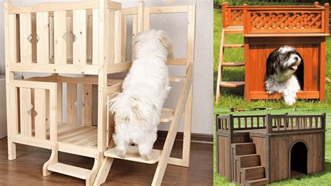 10 Best Dog Bunk Beds - Alpha Paw