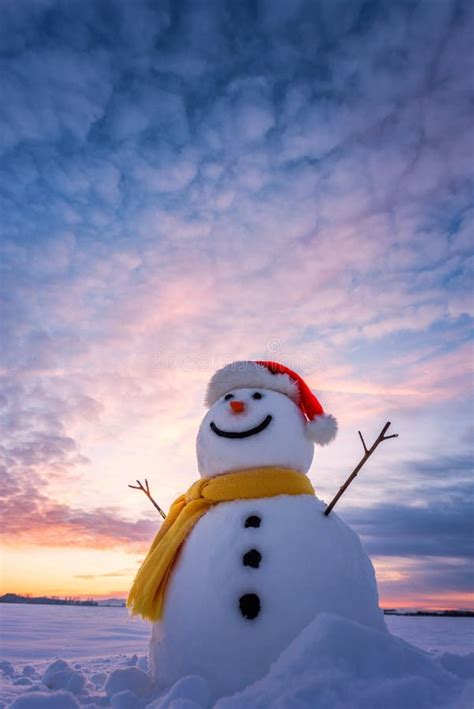 1,590 Snowman Sunset Stock Photos - Free & Royalty-Free Stock Photos from Dreamstime