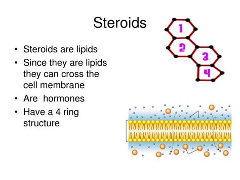 PPT - Fatty Acid PowerPoint Presentation - ID:788666