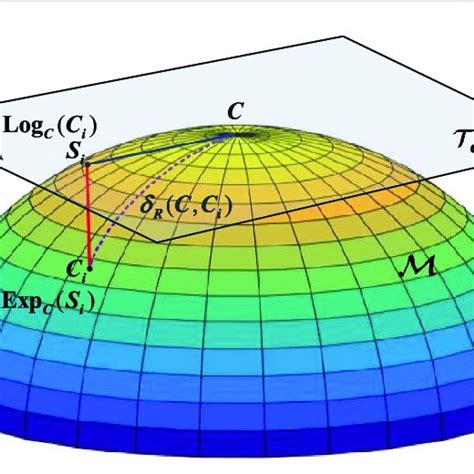 Riemannian manifold M and the local tangent space T CM at C. Log C (C i ...