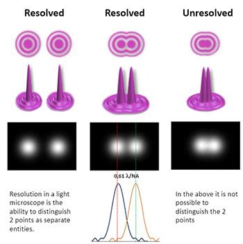 A-Z of Microscopy Terminology - A Glossary of Terms- Oxford Instruments