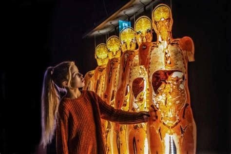 Das Plastinarium in Guben | Deutschland mal anders