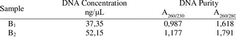 Results of Measurement of DNA and Purity DNA Concentrations using... | Download Scientific Diagram