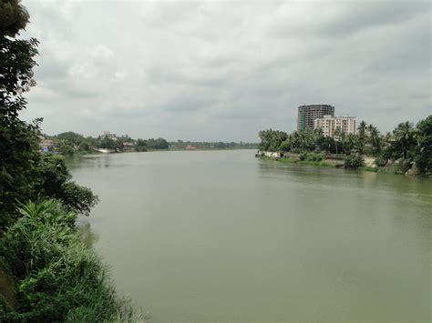 God's Own Country: Periyar River