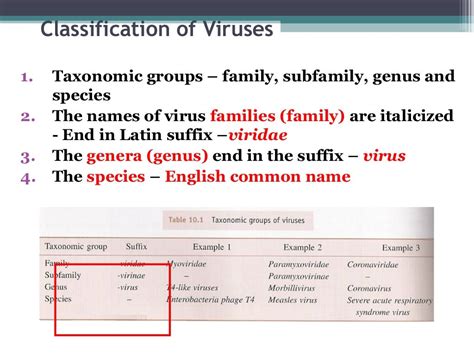 Chapter 2 classification of virus