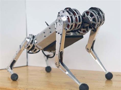 Mini Cheetah - ROBOTS: Your Guide to the World of Robotics