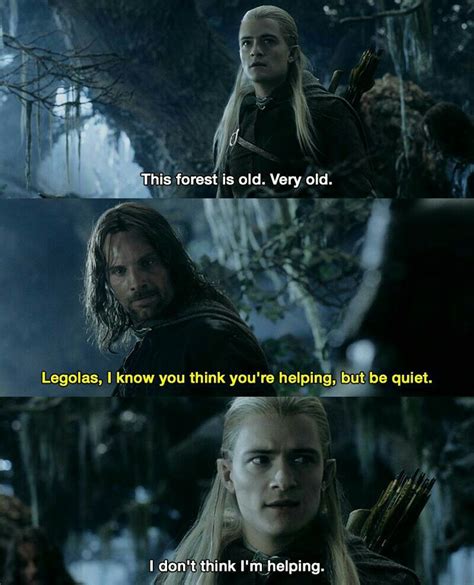 Pin by oceanpanther3 on Lord of the rings in 2020 | Lotr funny, Legolas ...