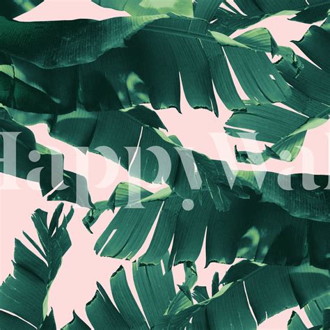 Tropical Banana Leaves 2 Wallpaper | Happywall