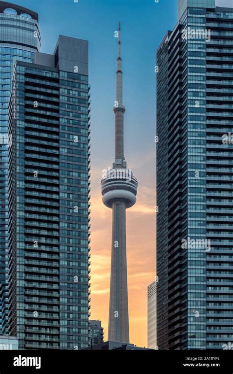 CN Tower at sunset in Toronto downtown, Canada Stock Photo - Alamy