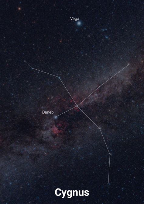 The Constellation Cygnus | Facts, Location, Photos and Mythology