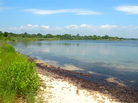 The Ninigret National Wildlife Refuge: An Awesome, Free Activity In ...