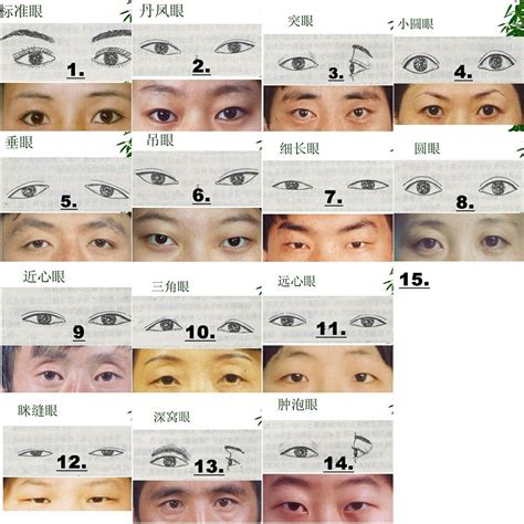 Types Of Asian Eyes