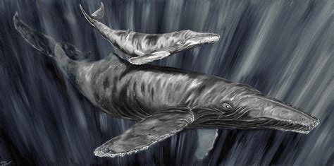 Gray Whales Painting by Steve Ozment | Pixels