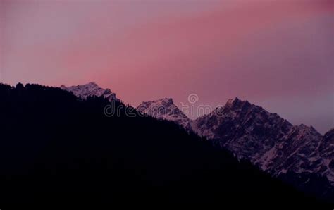 Pink Sky with Snow-covered Mountains Glacier and Tall Trees in Himachal Pradesh India Stock ...