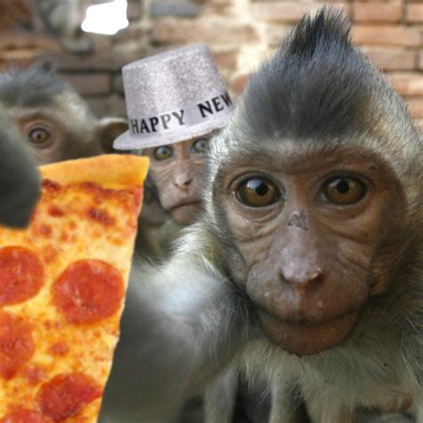 monkeys holding up a slice of pizza with the caption happy new year on it