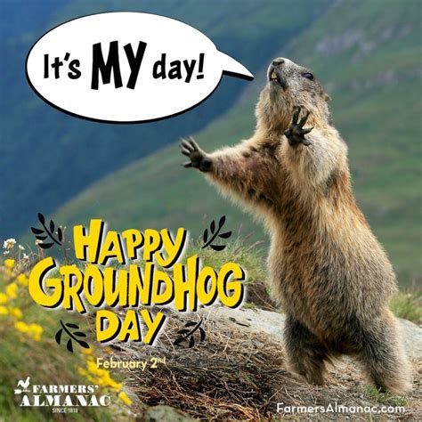 National Groundhog Day 2024 - Geneva Charita