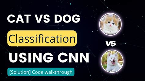 Cat Vs Dog Image Classification Using CNN | by Pushkar | Codersarts ...