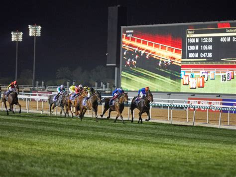 Dubai World Cup 2023 confirmed for March 25 | Time Out Dubai