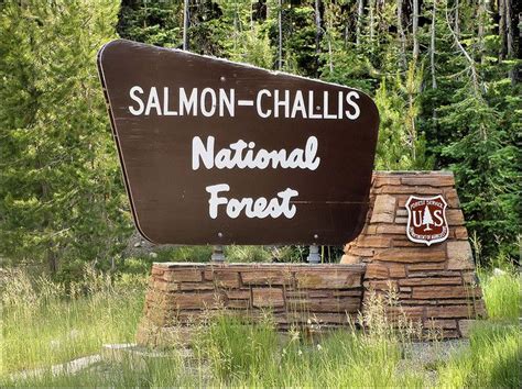 Salmon-Challis National Forest | Travel - National Parks, Forests & R…