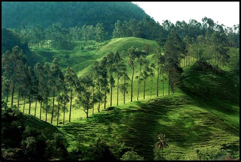 FOTOGRAFIAS PAISAJISTAS: REGION ANDINA COLOMBIANA