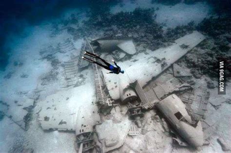 Crashed Plane Underwater | Underwater, Plane, Aircraft