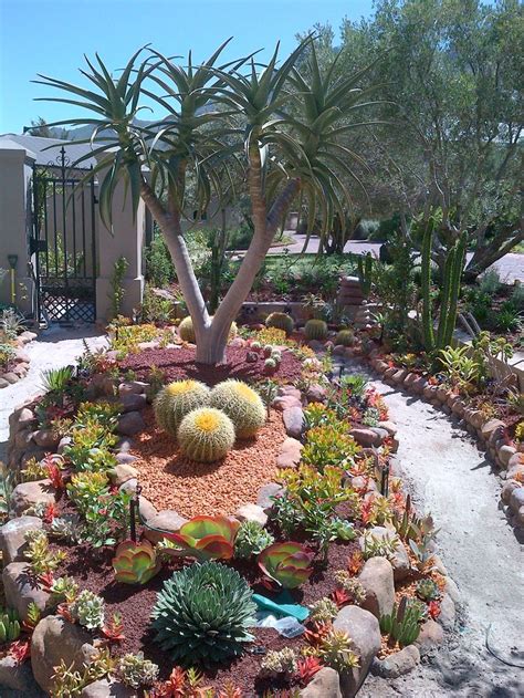 Creating a Beautiful Small Succulent Garden Bed - Succulent Source