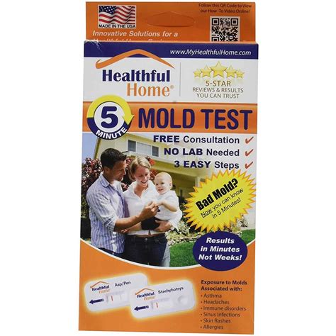 6 Best Mold Test Kits of 2022 | The Family Handyman