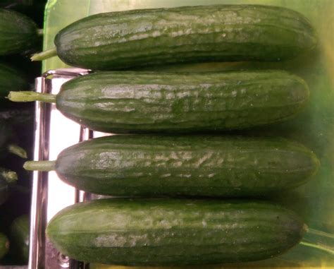 Be sure to get some of our #persian cucumbers! They’re crunchy and deliciously sweet!