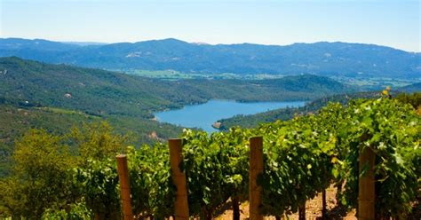 Wine World Tours, USA in California Wine Country - Tour Package Deals