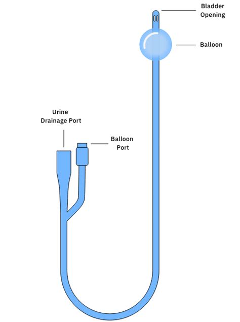 Urinary Catheter Types and Sizes and How to Choose - CompactCath