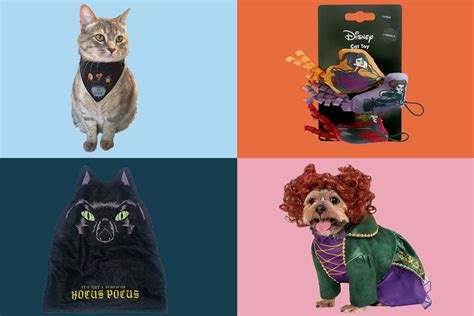 PetSmart's New Hocus Pocus Collection Lets You Dress Your Pet Like the Most Famous Sanderson ...