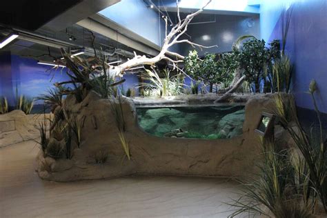 $700K Texas State Aquarium upgrade takes you deeper into Gulf as you tour