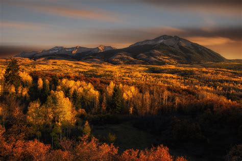 forest, mountains, sky Wallpaper, HD Nature 4K Wallpapers, Images and Background - Wallpapers Den