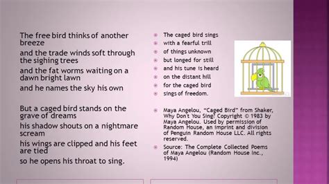 Critical Analysis Of Caged Bird By Maya Angelou - Bird Walls