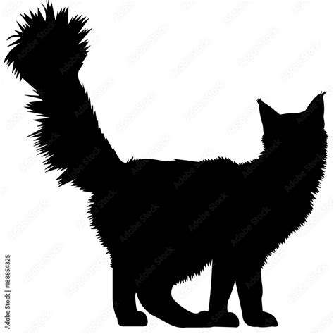 Maine Coon Cat Silhouette Vector Graphics Stock Vector | Adobe Stock