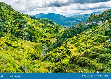 Banaue Rice Terraces - Northern Luzon, UNESCO World Heritage in Philippines. Stock Image - Image ...