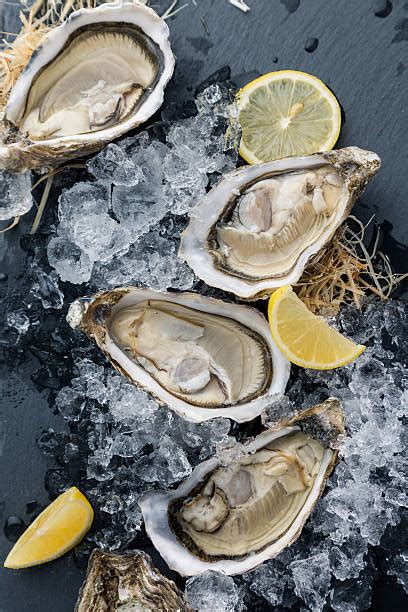 Oysters On The Half Shell Stock Photos, Pictures & Royalty-Free Images ...